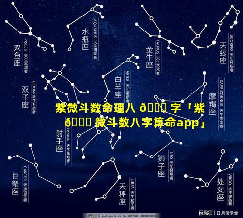 紫微斗数命理八 🐟 字「紫 🐘 微斗数八字算命app」
